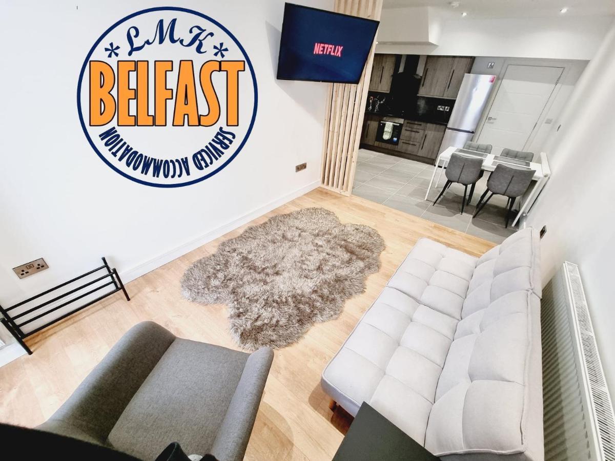 Lmk, Spacious 1 Bedroom Ground Floor Apartment, Ev Charger, Free Parking Wi-Fi, Great Location Belfast Exterior foto